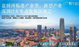 深圳爆料最新,揭秘城市热点事件背后的真相